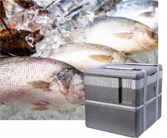 surpertech-epp-vip-insulation-box-a-new-choice-for-cost-effective-cold-chain-transportation1.jpg surpertech-epp-vip-insulation-box-a-new-choice-for-cost-effective-cold-chain-transportation1.jpg