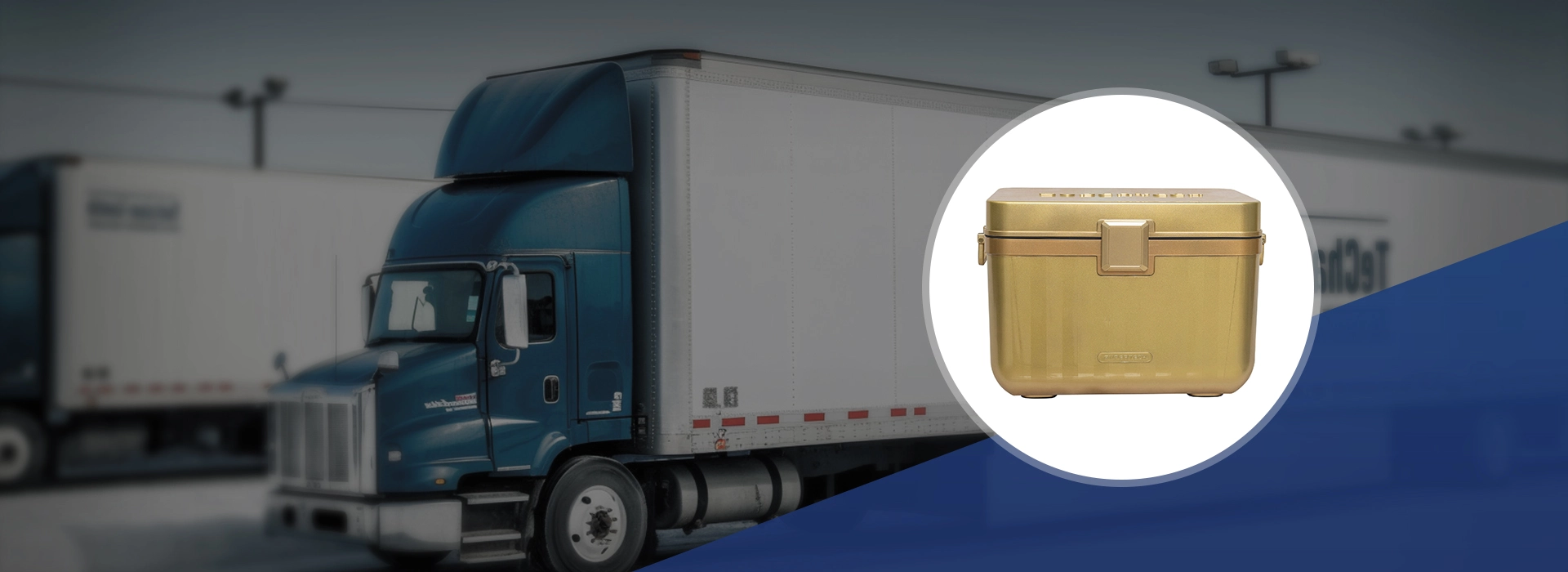 Cold Chain Packaging